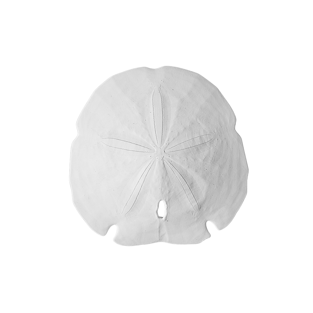 3.5 - 4" Arrowhead Sand Dollars