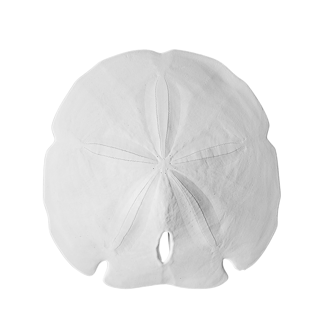 5 - 5.5" Arrowhead Sand Dollars