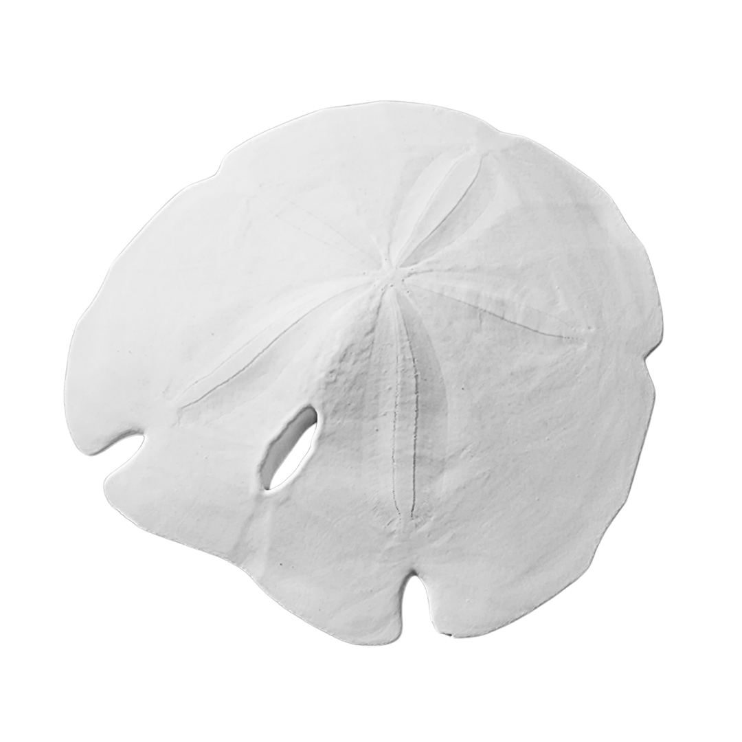 5 - 5.5" Arrowhead Sand Dollars