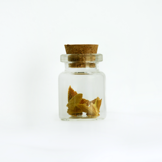 Colored Peace Dove Jars
