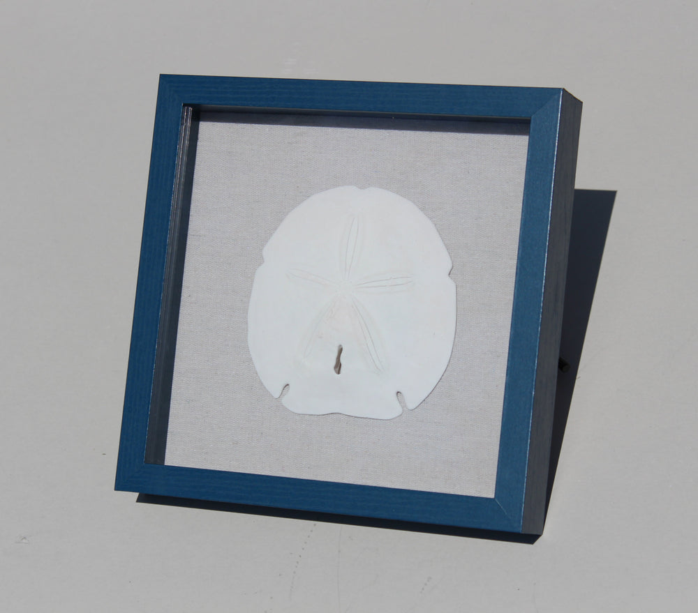Arrowhead Shadow Box (8.5" x 8.5")