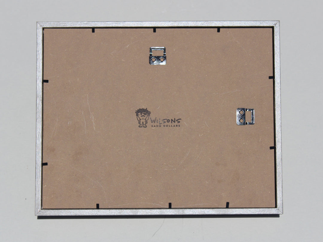 Round & Arrowhead Shadow Box with Brown Matting (11" x 14")