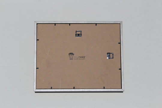 Sand Dollar Shadow Box with Dark Brown Matting (11" x 14")