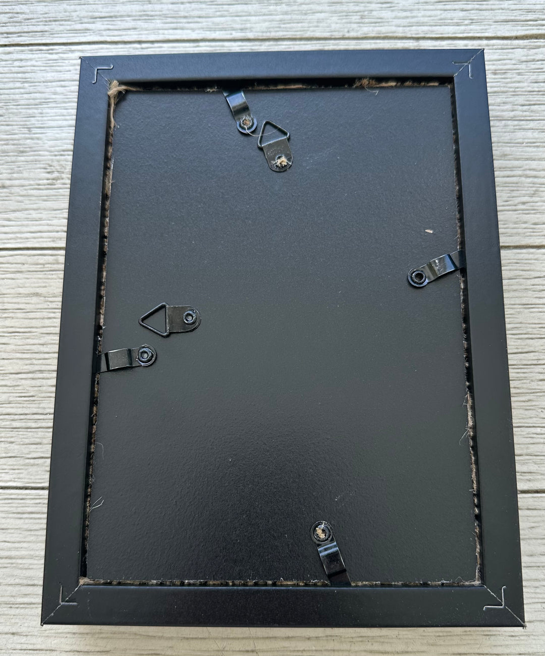 Sand Dollar Shadow Box (5" x 7")