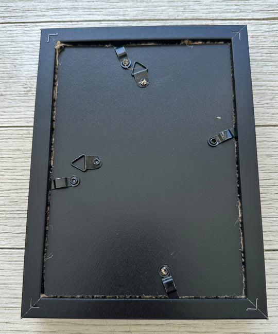Sand Dollar Shadow Box (5" x 7")