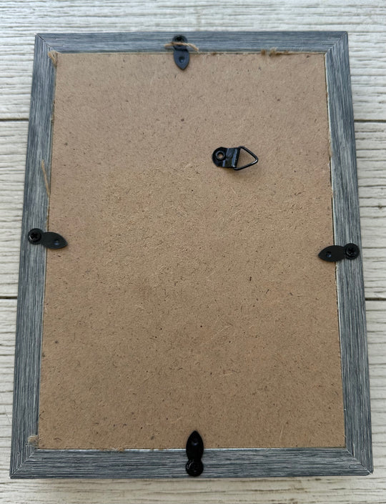 Sand Dollar Shadow Box (5" x 7")
