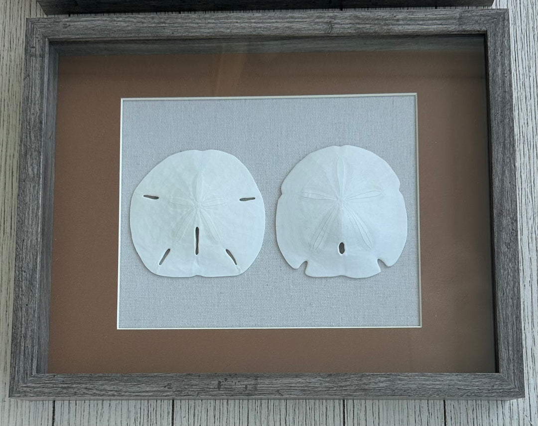 Round & Arrowhead Shadow Box with Brown Matting (11" x 14")