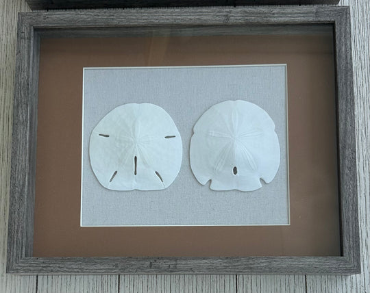 Round & Arrowhead Shadow Box with Brown Matting (11" x 14")