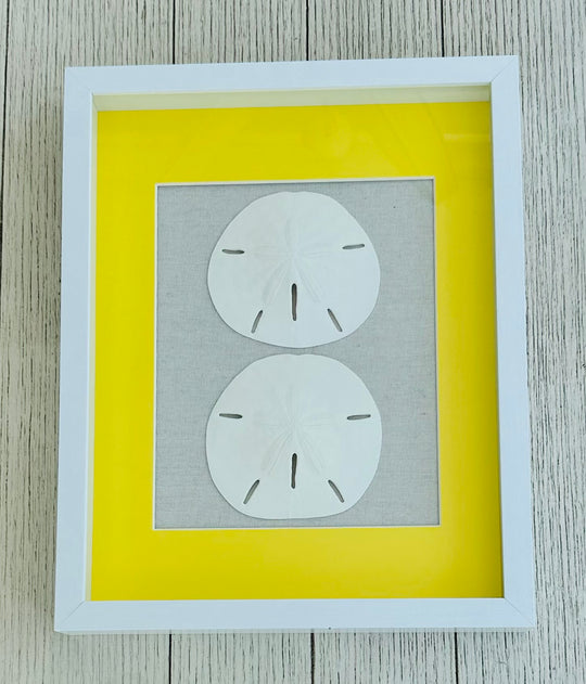 Sand Dollar Shadow Box with Yellow Matting (11" x 14")