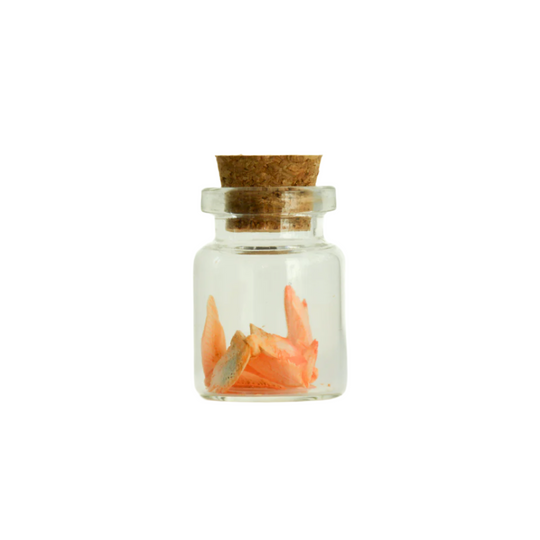 Colored Peace Dove Jars