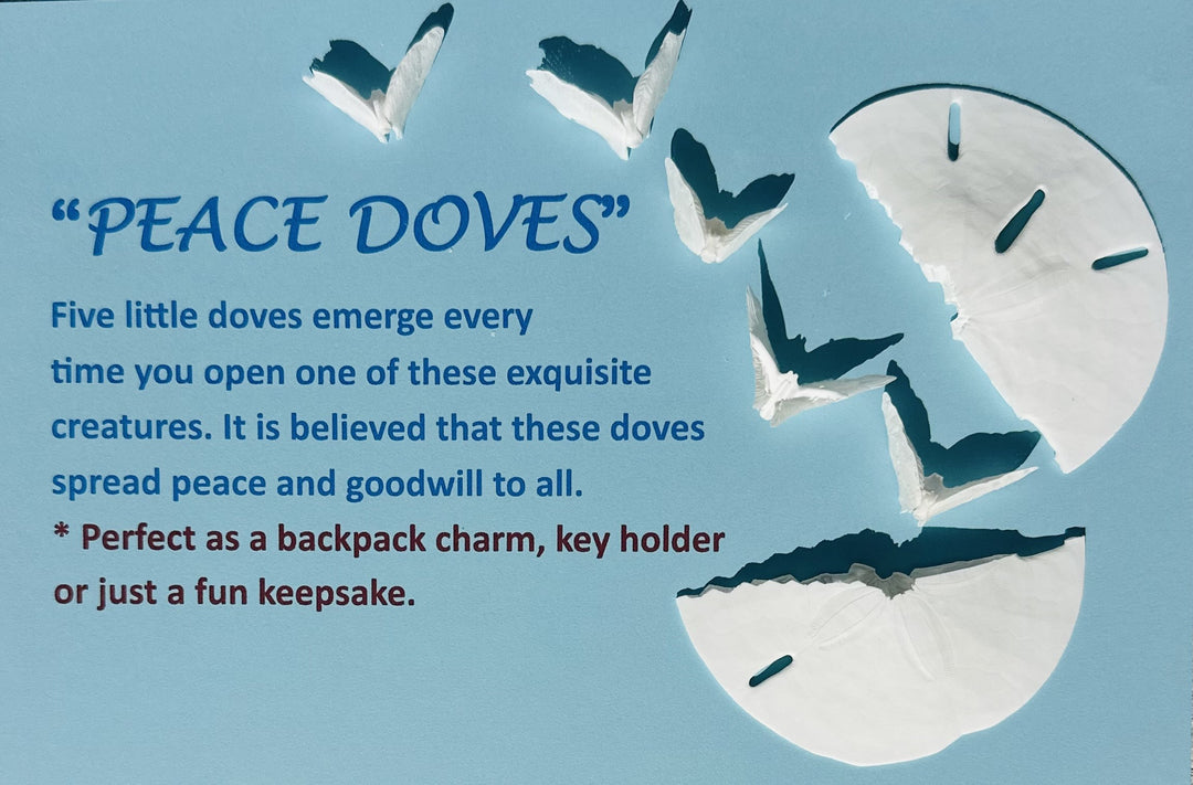 Peace Dove Jar Keychains