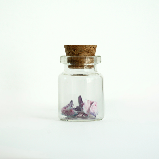 Colored Peace Dove Jars