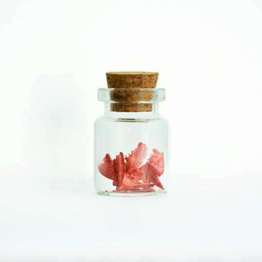 Colored Peace Dove Jars