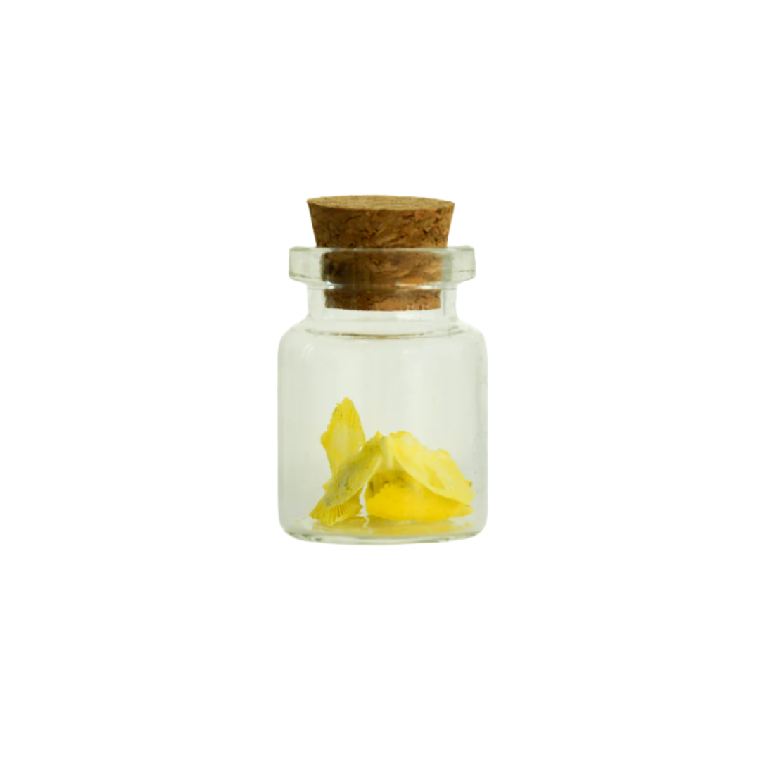 Colored Peace Dove Jars