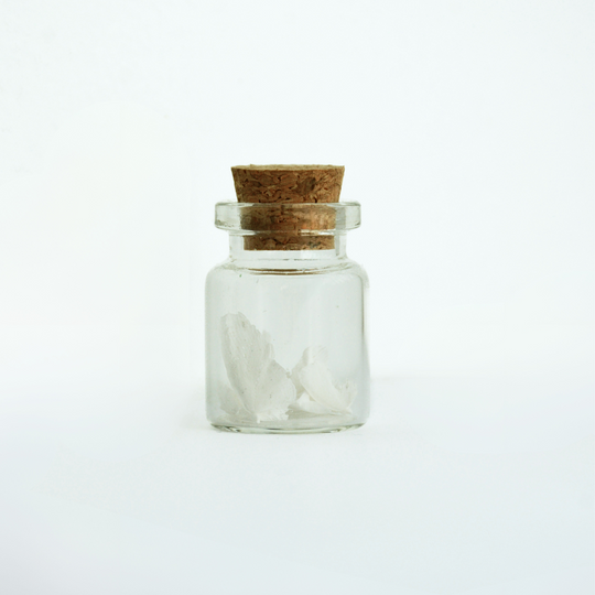 Colored Peace Dove Jars